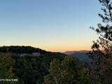 0 Panther Falls Rd - Photo 14