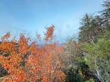 0 Panther Falls Rd - Photo 22