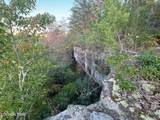 0 Panther Falls Rd - Photo 4