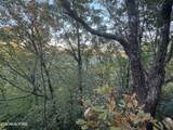 0 Panther Falls Rd - Photo 6
