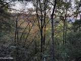 0 Panther Falls Rd - Photo 9