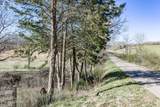 24 Ac Cedar Grove Rd - Photo 3