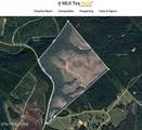  Possum Trot Rd.- 142.25 Acres - Photo 20