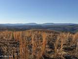 Possum Trot Rd.- 142.25 Acres - Photo 22