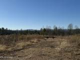  Possum Trot Rd.- 142.25 Acres - Photo 28
