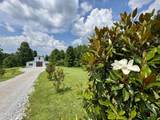 387 Red Williams Rd - Photo 21