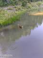 1055 Big Four Rd - Photo 4