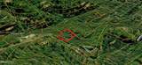 Lot 31 Sonshine Ridge Rd - Photo 10