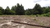 51.30ac Livingston Hwy - Photo 31