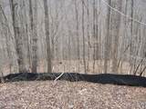 Lot 60 Bobcat Lane - Photo 10