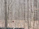 Lot 60 Bobcat Lane - Photo 11
