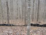 Lot 60 Bobcat Lane - Photo 14