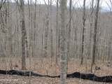 Lot 60 Bobcat Lane - Photo 4