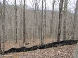 Lot 60 Bobcat Lane - Photo 5
