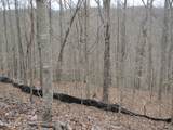 Lot 60 Bobcat Lane - Photo 6