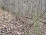 Lot 60 Bobcat Lane - Photo 9