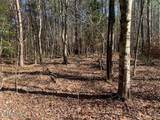 Tract 2 Lone Wolf Trail - Photo 10