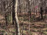 Tract 2 Lone Wolf Trail - Photo 11