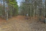 Tract 2 Lone Wolf Trail - Photo 12