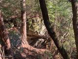 Tract 2 Lone Wolf Trail - Photo 4
