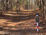 Tract 2 Lone Wolf Trail - Photo 5