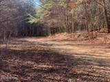 Tract 2 Lone Wolf Trail - Photo 7