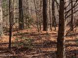 Tract 2 Lone Wolf Trail - Photo 9