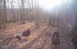50.31 acre Robbinstown Rd - Photo 44