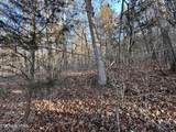 5 Acres N White Pine Road - Photo 1