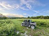 207 Lick Fork Lane - Photo 48