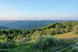 207 Lick Fork Lane - Photo 22