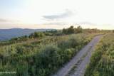 207 Lick Fork Lane - Photo 25