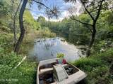 207 Lick Fork Lane - Photo 42