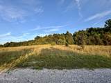 207 Lick Fork Lane - Photo 43