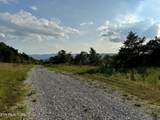 207 Lick Fork Lane - Photo 45