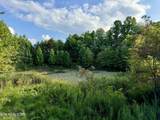 207 Lick Fork Lane - Photo 47