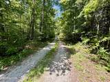  Stinking Creek Rd - Photo 14