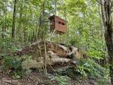 Stinking Creek Rd - Photo 30