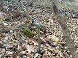 4266 Miser Station Rd. Rd - Photo 6