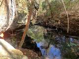 Tract 1 Lone Wolf Trail - Photo 11