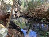 Tract 1 Lone Wolf Trail - Photo 8