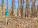  County Rd. 262 Lot 9 - Photo 7