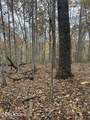 Lot 6 Wilderness Tr - Photo 15