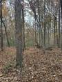 Lot 6 Wilderness Tr - Photo 8