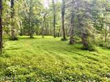 217 Saw Mill Lane - Photo 4