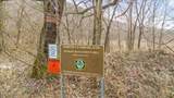 16 Acres Smokey Creek Rd - Photo 16