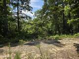 391 Thief Neck View Drive - Photo 2