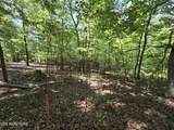 391 Thief Neck View Drive - Photo 4