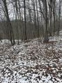  Lots 12 & 13 Sams Mountain Rd. - Photo 3