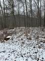  Lots 12 & 13 Sams Mountain Rd. - Photo 4